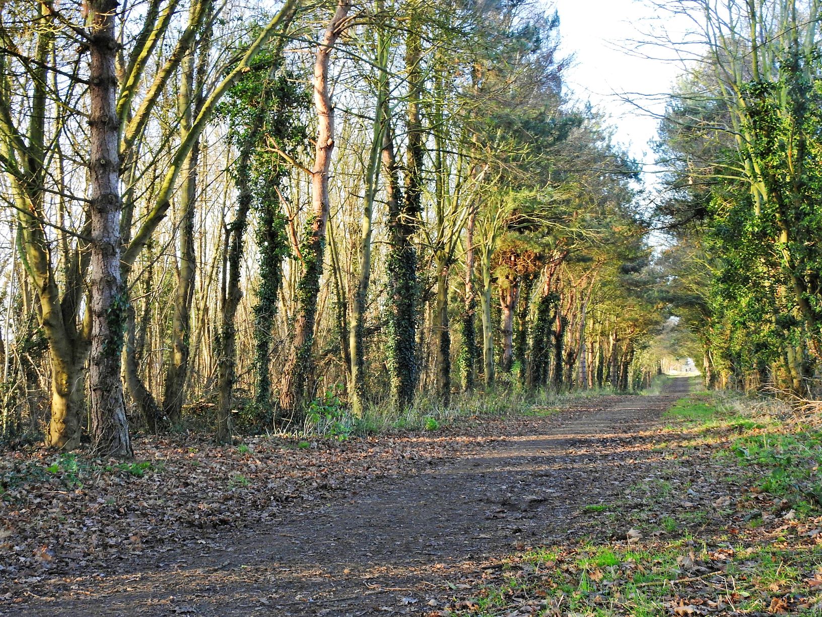 Footpath Map and Walking Routes