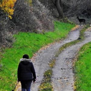 A Chance Encounter