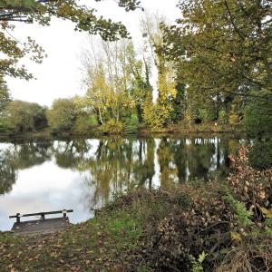 A Tranquil Autumn Scene 2