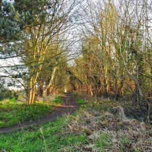 Alston to Grimston