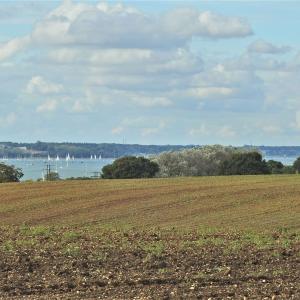 Alston towards Pin Mill