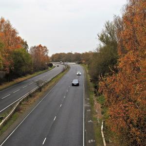 Autumn Road 