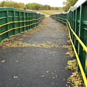 Autumn from the Bridge