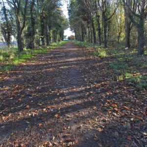 Autumn the long view 