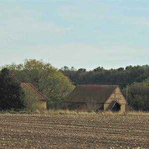 Capel Hall Barn