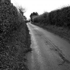 Capel Hall Lane2 