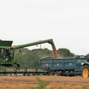 Combine Harvesting 013