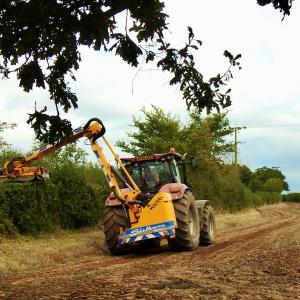Expert hedge cutting in progress