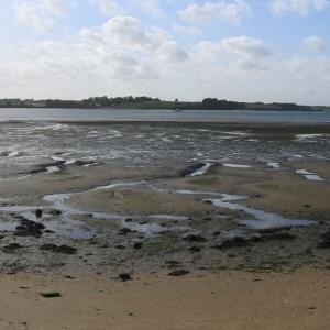 Foreshore