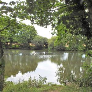 Goslings Pond 3
