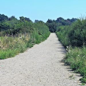 Great Street Farm Gaymers Lane bridlway 24.8.2019
