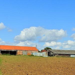 Grimston Hall Farm 22020