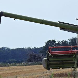 Harvest