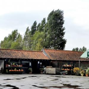 High Road Goslings farm Shop 034