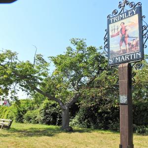 Robin Biddle -High Road St Martin Cherry Trees 2018 