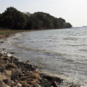 High Tide 5