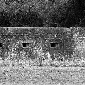 Howlet Way Pill Box