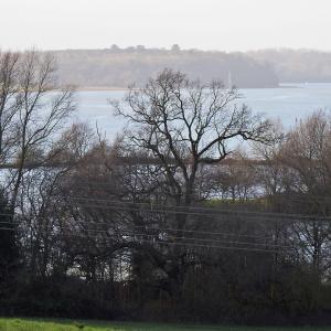 Loompit Lae Orwell