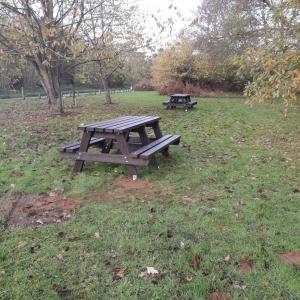 New Picnic Tables
