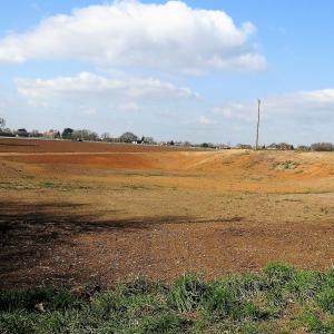 Old Brick Pit Rookery 2