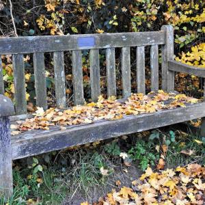 Parish Clerks Seat
