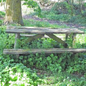 Picnic site 2 2
