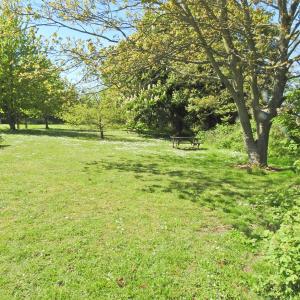 PicnicSite