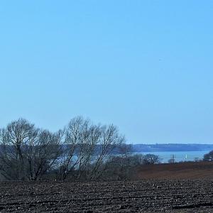 River Orwell 