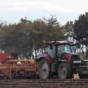 Seed bed preparation 