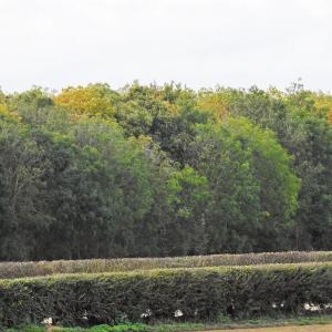 Slow Autumn 2019 2