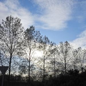 Slow Autumn 2019 3
