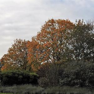 Slow Autumn 2019 4