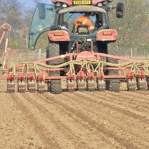 Spring Sowing