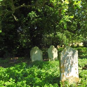 St Martins churchyard 16.6.2021 5