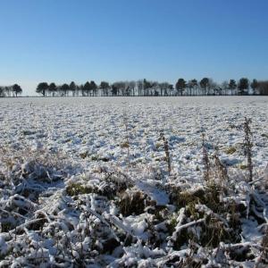 Swantje Holland A Winter Walk Janary 2019 3