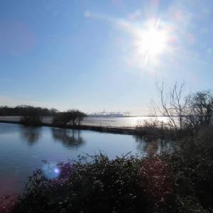 Swantje Holland A Winter Walk January 2019 2