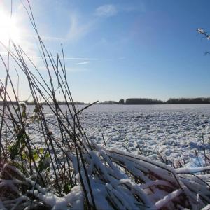 Swantje Holland A Winter Walk January 2019