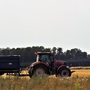That was the Wheat that was 2 2