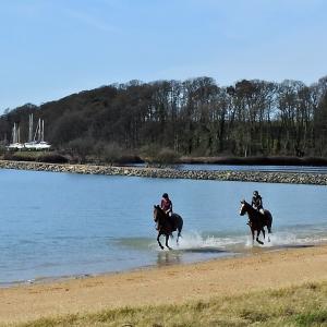 Thorpe Bay 