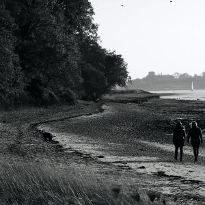 Thorpe Bay 3