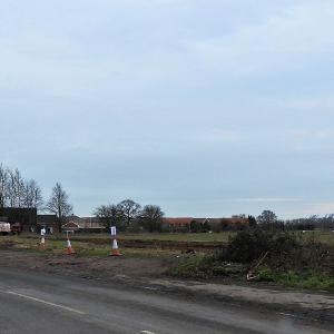 Trees removed opposite Hand in Hand 19.2.2021 