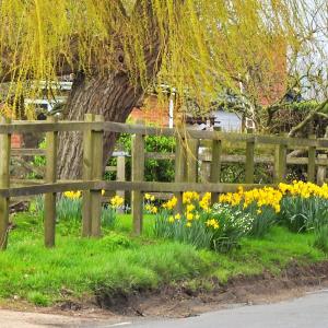 Verge by High Road