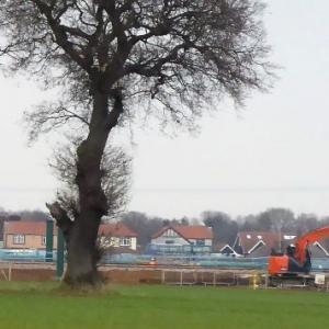 bridge under construction